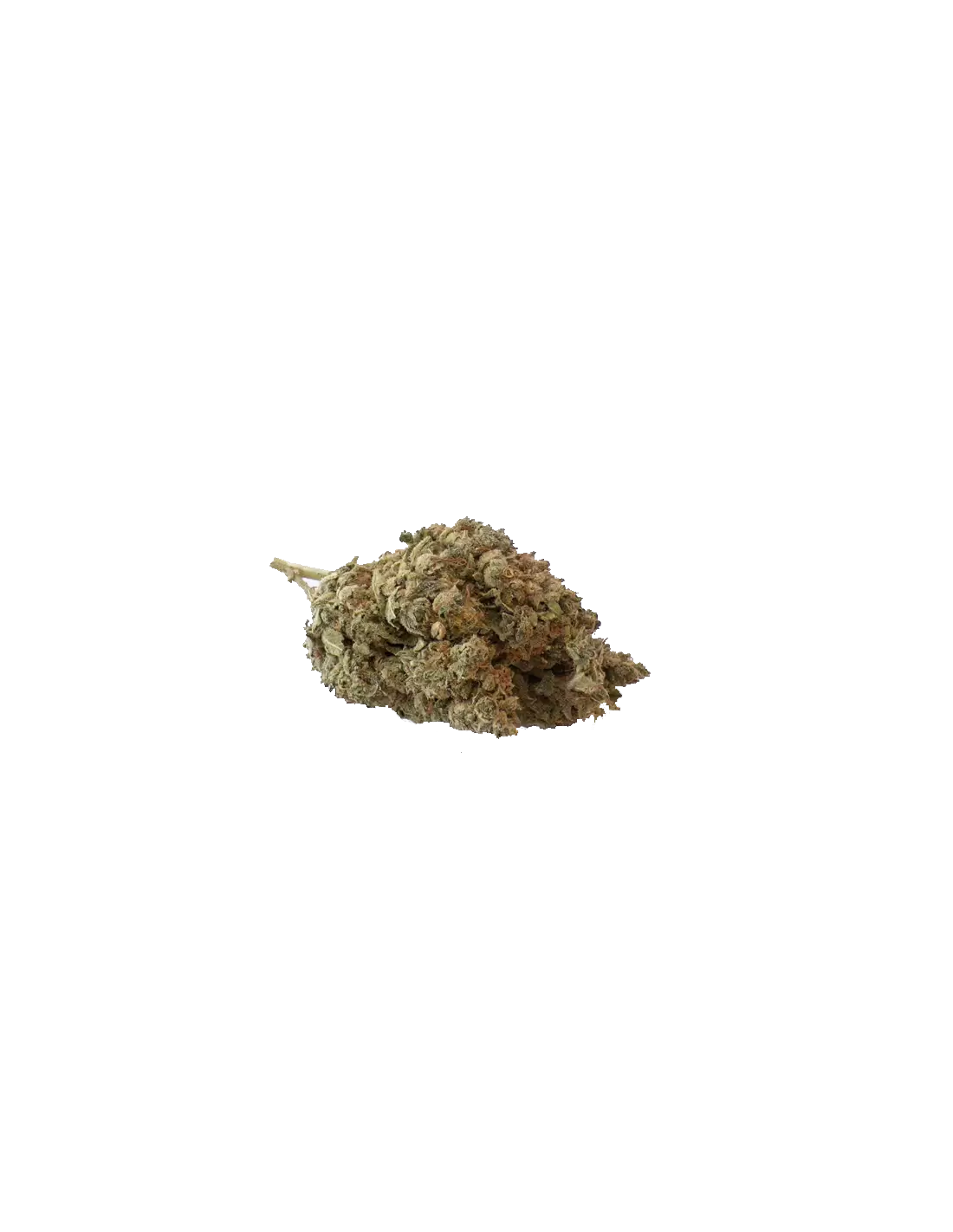 CBD Super Lemon Haze Cvijet 1g Garica